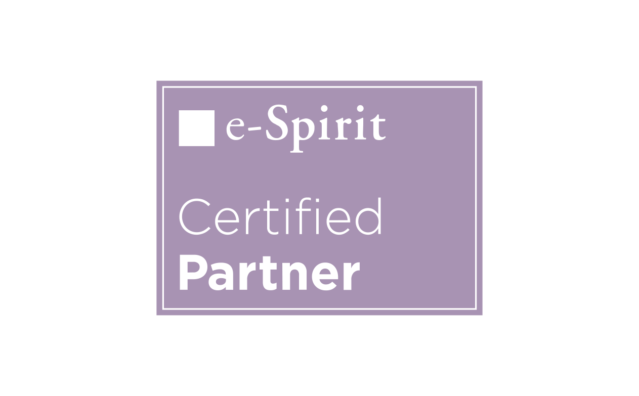 Ihre e-spirit Experten 